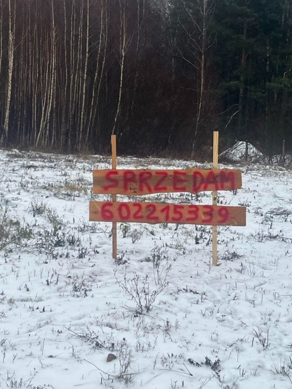 wyróżnione ogłoszenie Działka / Woryty